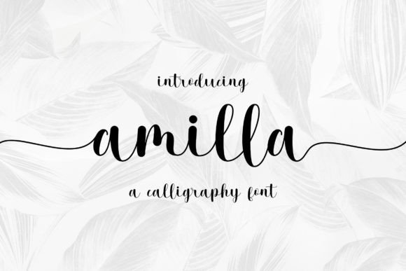 Amilla: A Script Handwritten Font for Modern Web Design