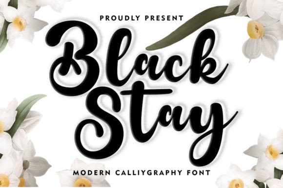 Black Stay: A Script Font That Elevates Branding with Grace and Flow