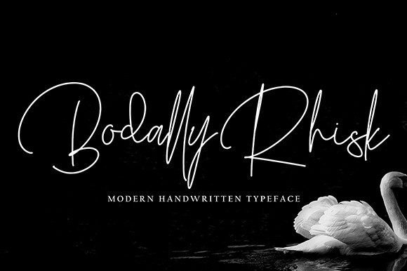 Bodally Rhisk: The Font That Elevates Your Brand