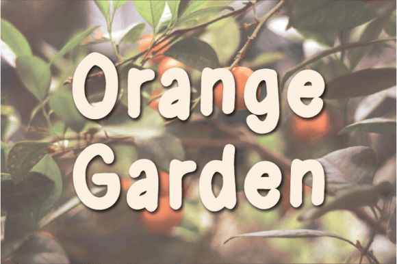 Orange Garden: A Script Handwritten Font for Creative Campaigns
